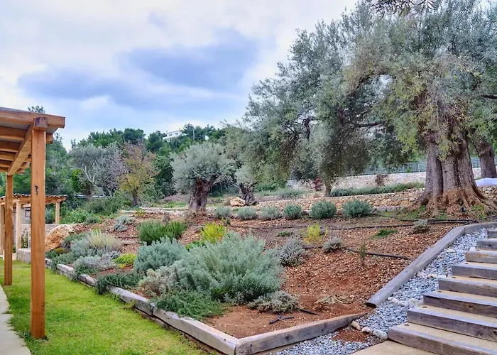 Seaview In Apollonii Lefkada